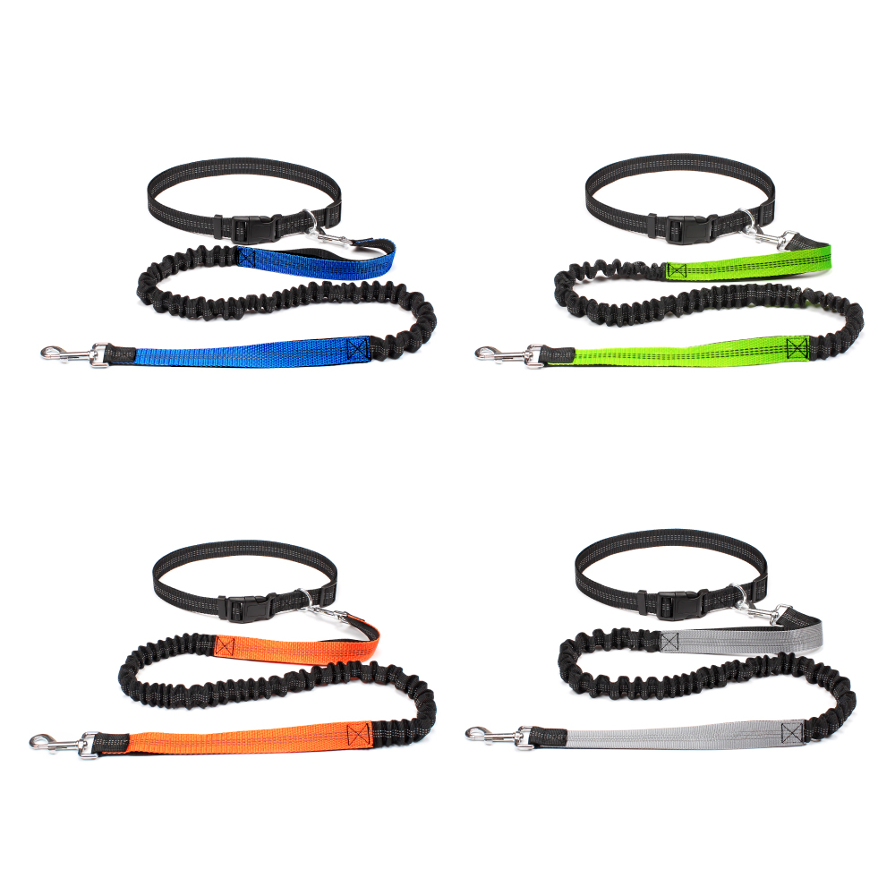 ハンズフリー犬用リード、ペットの散歩、ランニング、ジョギング - Running Gear Belt のレビューと価格